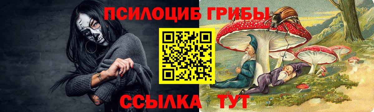 Псилоцибиновые грибы мухоморы Муром