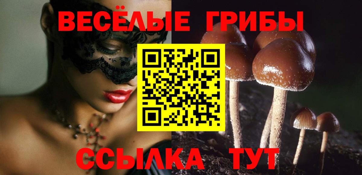 Псилоцибиновые грибы мицелий  Вход с VPN  Муром 